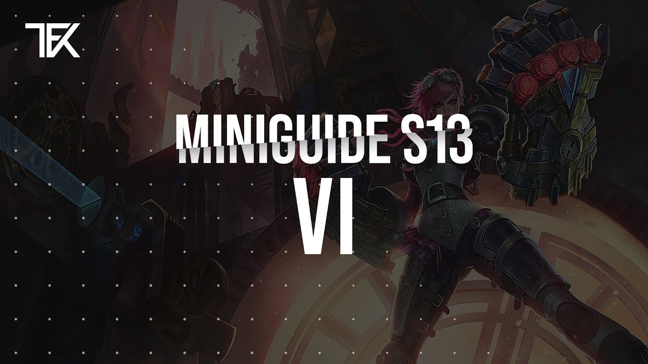 Vi Miniguide S13 | Team Freekills