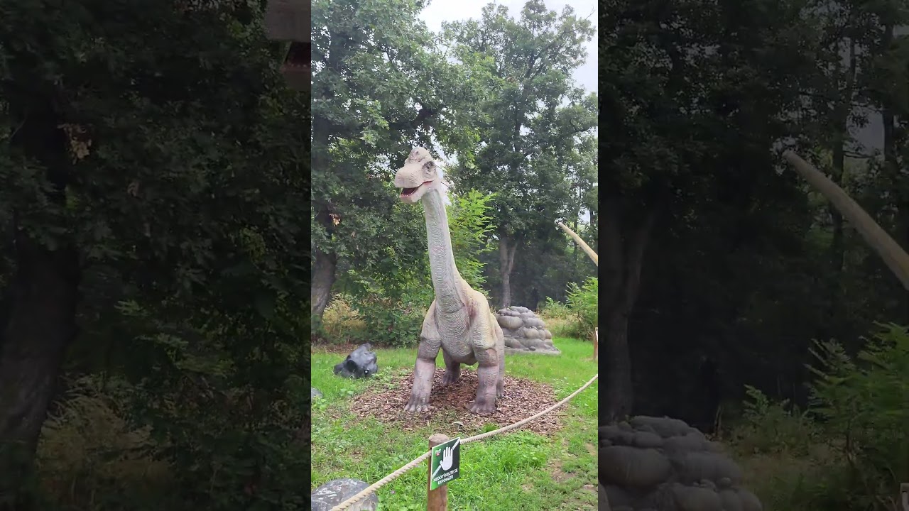 DinoLive 