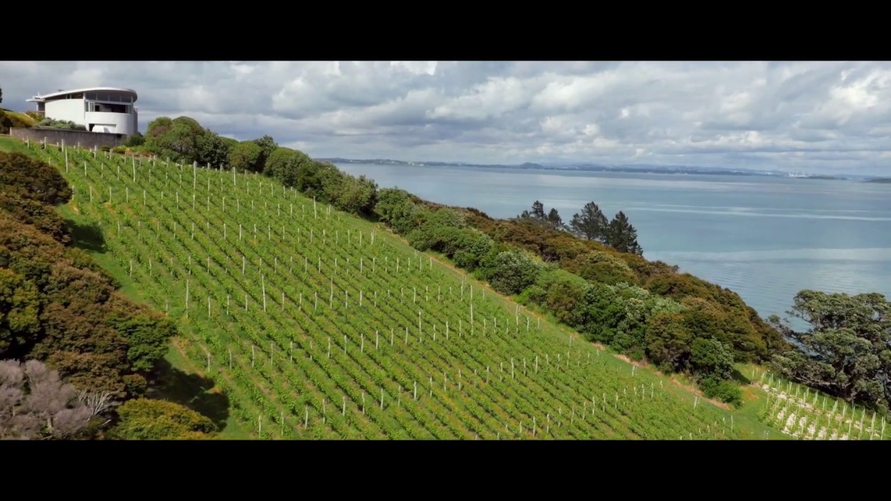 New Zealand's meeting place