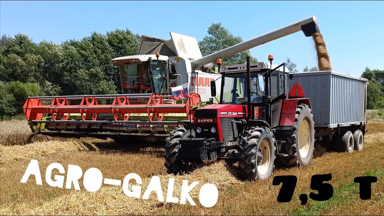 LEXION na scéne. Veľká žatva 7,5 tony pšenica :O *Agro-Galko* ZetVlog #84