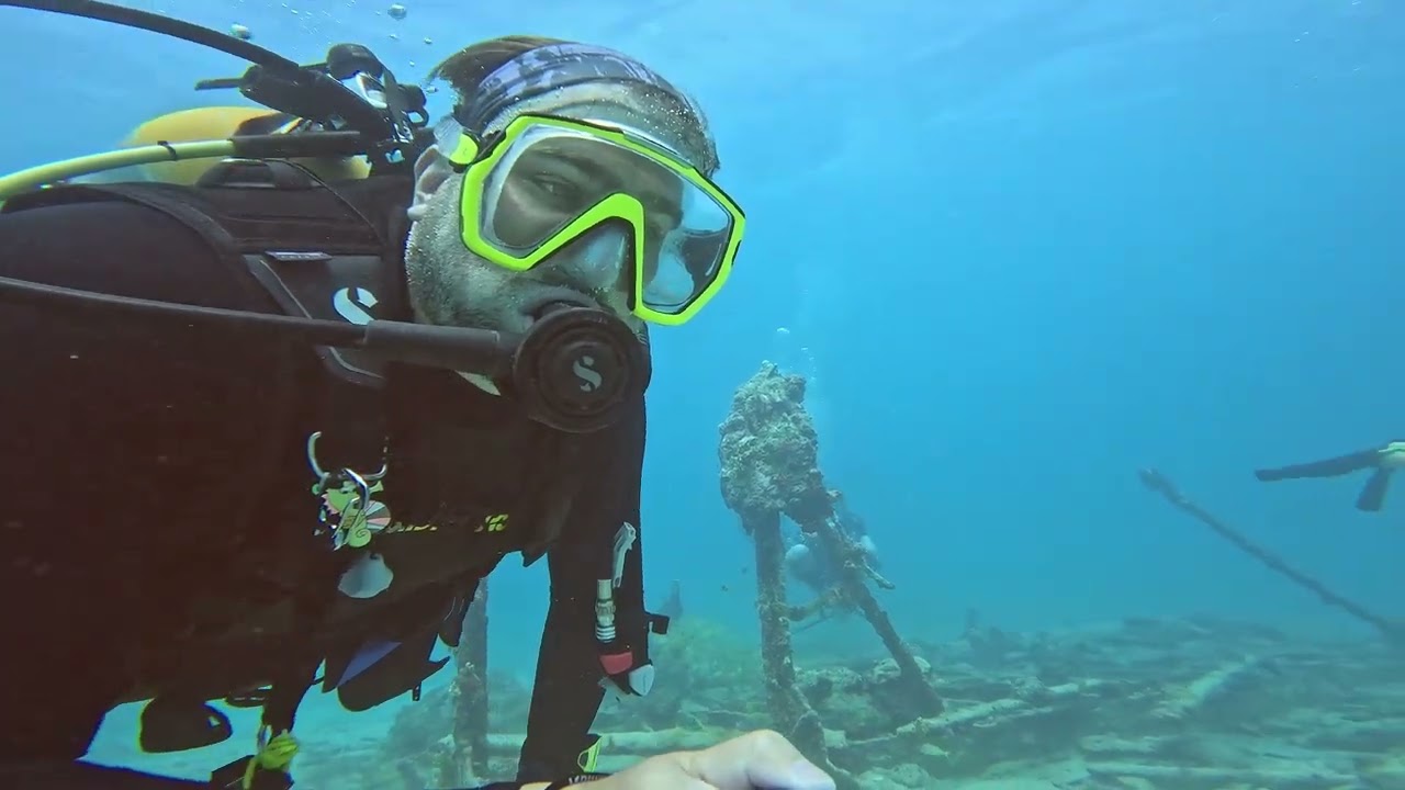 Pendernales / Palm Beach, Aruba