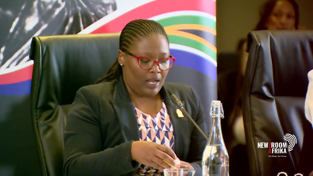 Numerous experts lined up to prove Mbenenge's innocence