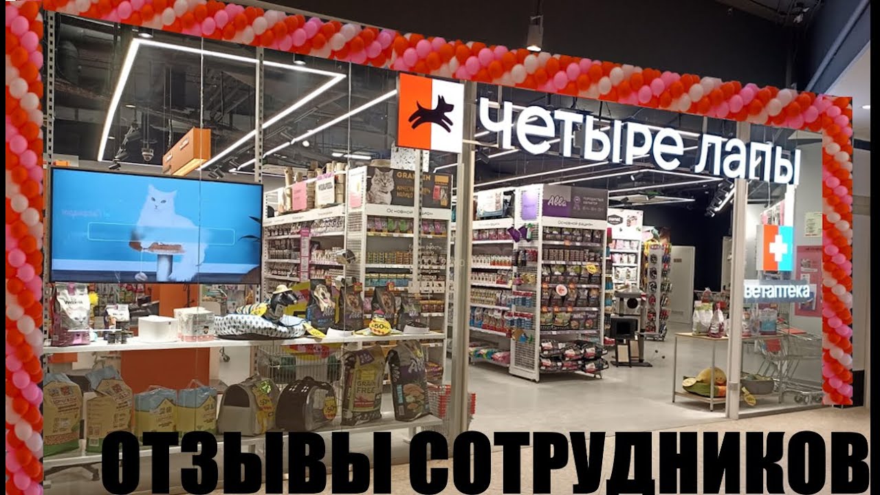 4 лапы: обзор отзывов сотрудников