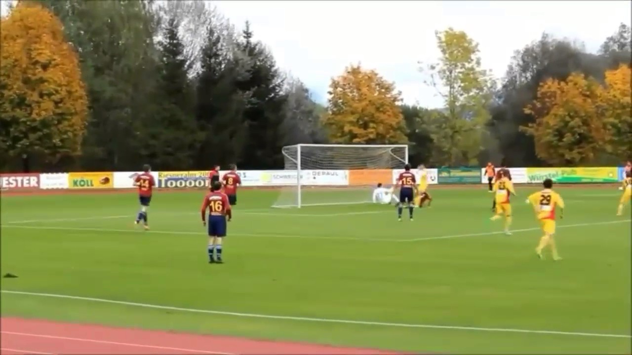 Levan Eloshvili 2016 - 2017 ● Skills & Goals