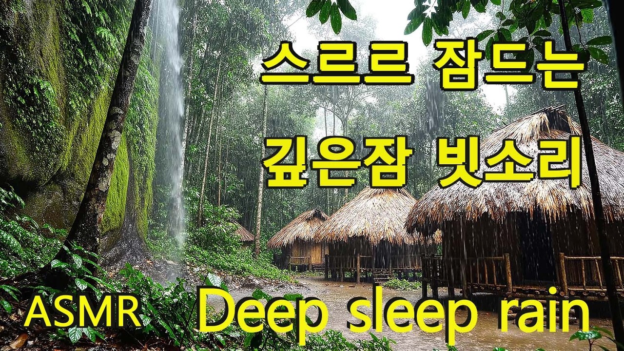 ASMR, 잠이 오는 영상, deep sleep rain, 백색소음, 힐링 영상, 불면증 치유, 빗소리, 폭우, the sound of rain, 깊은잠 빗소리, 밀림 빗소리