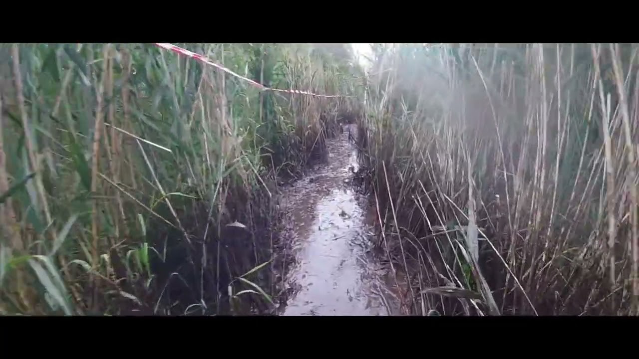 Bieg Katorżnika 2023