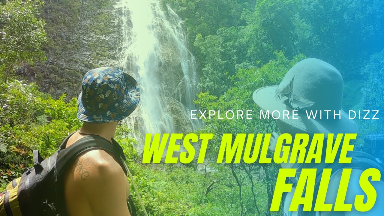 West Mulgrave Falls - Wooroonooran National Park - Tropical North Queensland