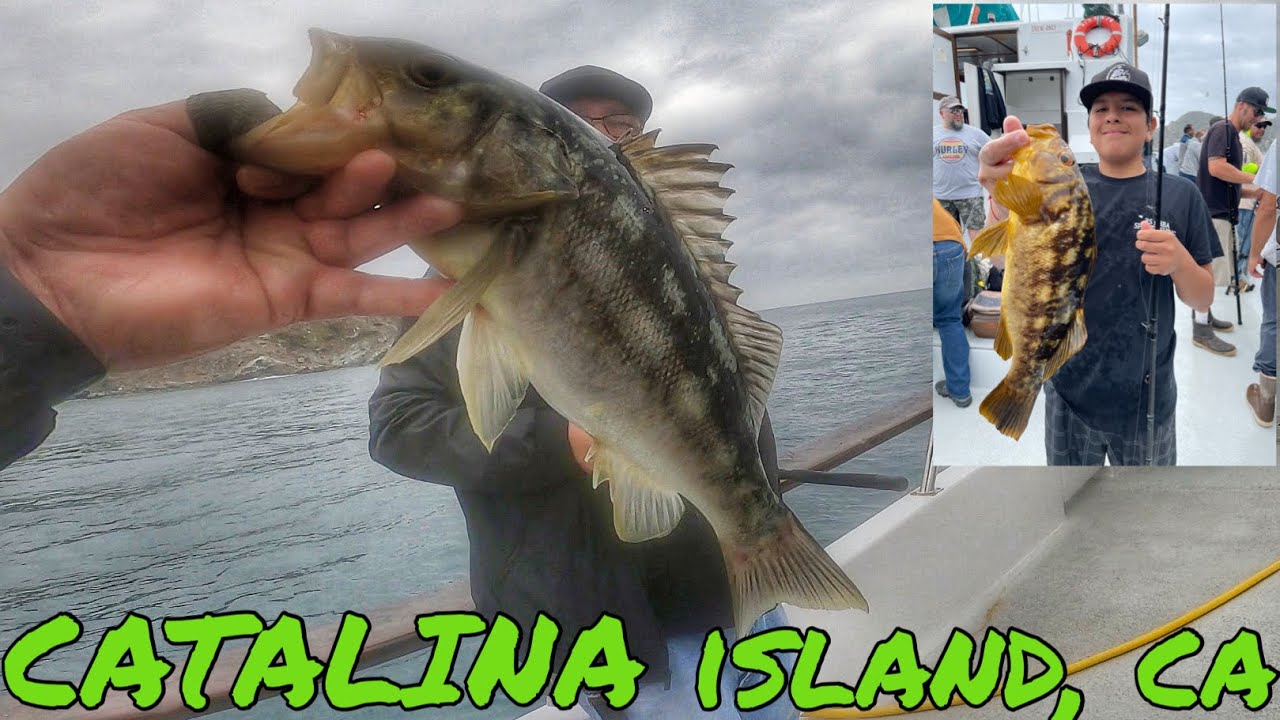 FISHING ABOARD THE PURSUIT SPORTFISHING BOAT | 22st LANDING SAN PEDRO CA | FALL OCT 2023 #BBAKR3W