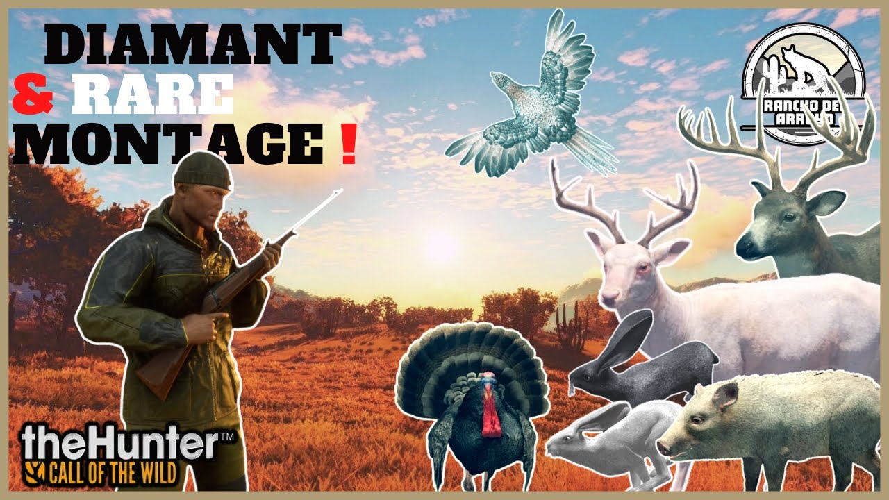 Diamant & Rare Compilation , Découverte Rancho Del Arroyo ! | The hunter call of the wild Fr