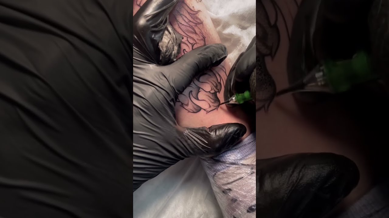 Shading tattooing#elitetattoo #eliteinfinicartridges #elitecartridges #details #short #tattooprocess