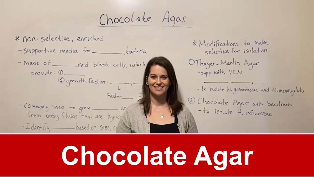Chocolate Agar