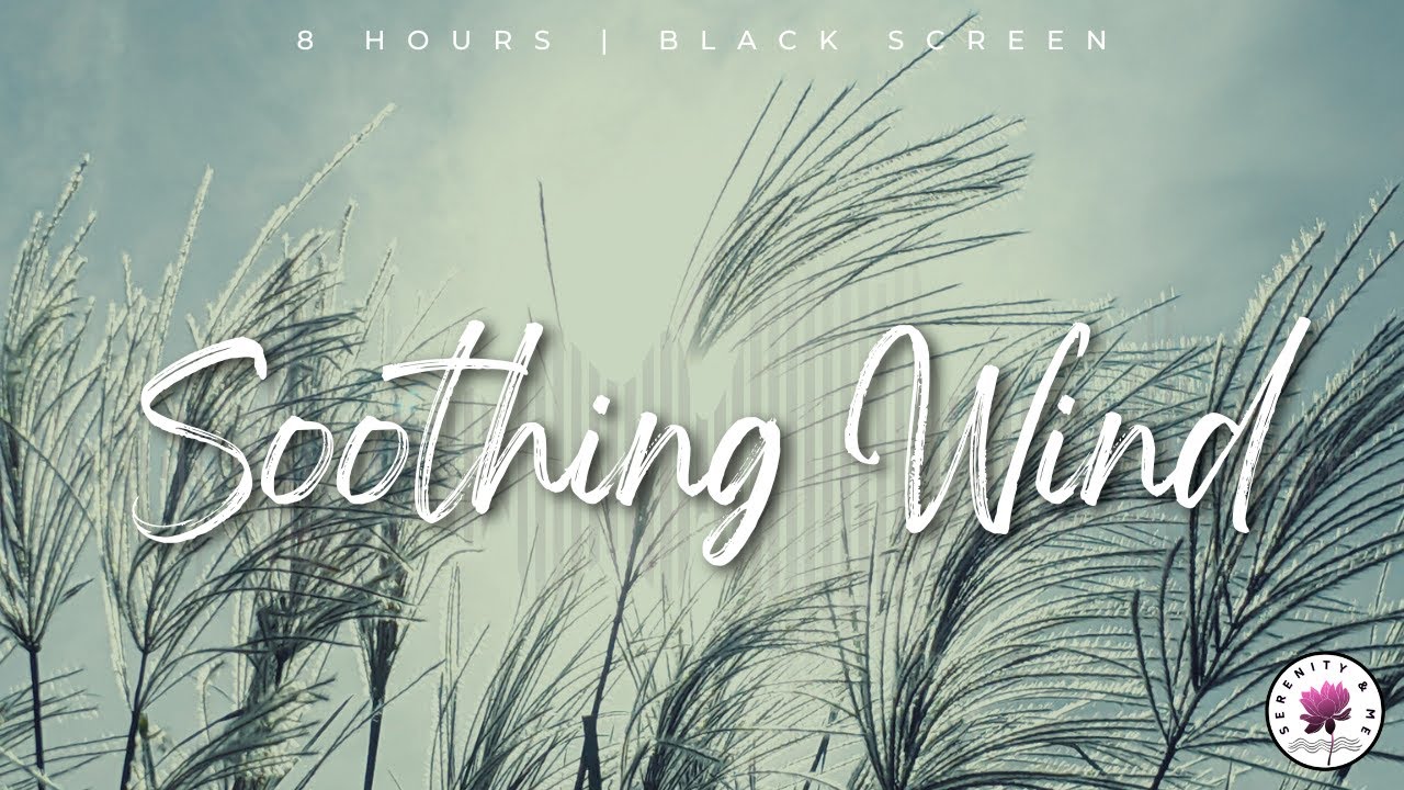8 Hours of Soothing Wind | Deep Sleep, Relaxation & Meditation