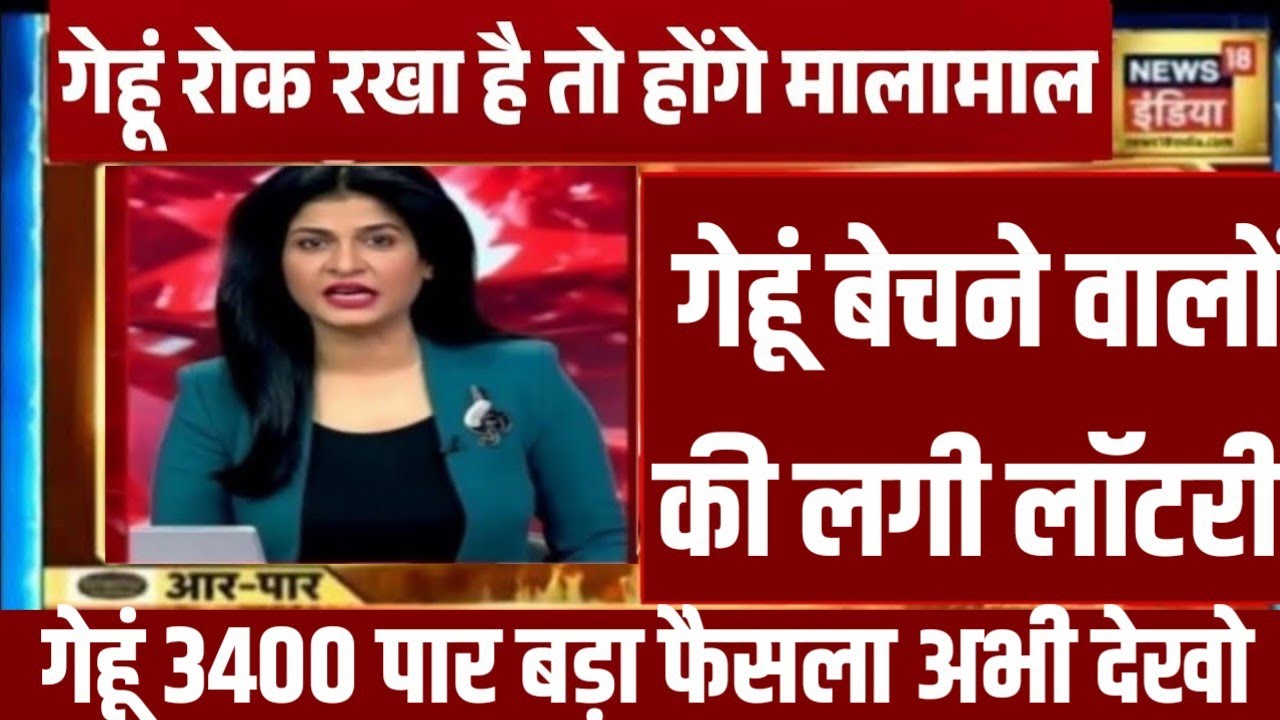 गेहूँ का भाव 14 जून 2026 | गेहूँ के भाव में तूफानी तेजी देखें भाव, Gehu ka Bhav,Wheat rate today