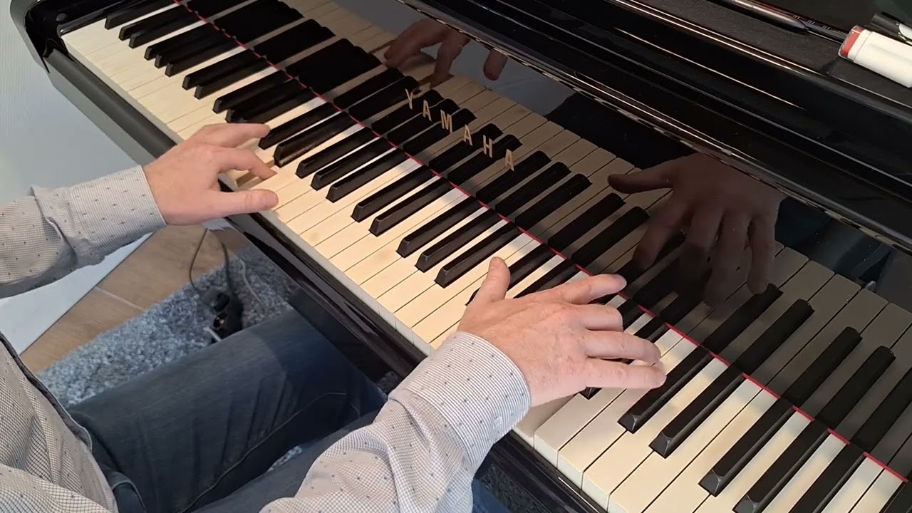 Ludovico Einaudi - Experience