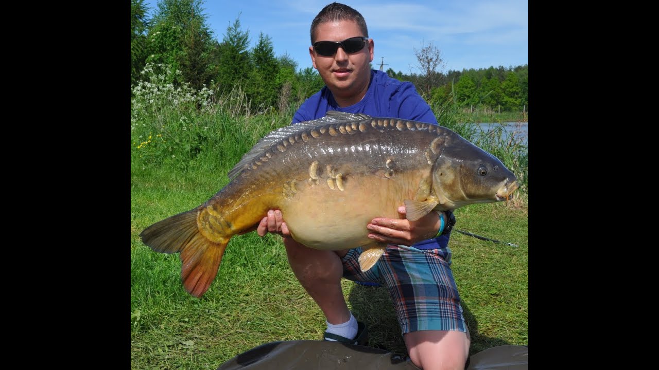 Karpiowanie 