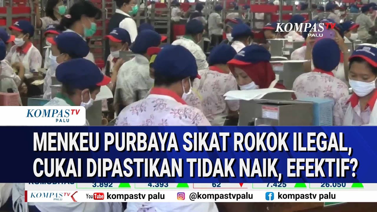 Menkeu Purbaya Sikat Rokok Ilegal, Cukai Dipastikan Tidak Naik, Efektif?
