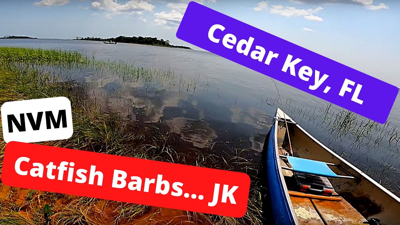Cedar Key and Shell Mound Fishing for Redfish!!
