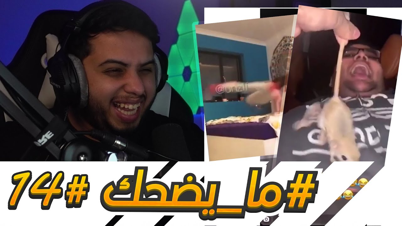 #ما_يضحك 14 |  مصري يبي ياكل جربوع !