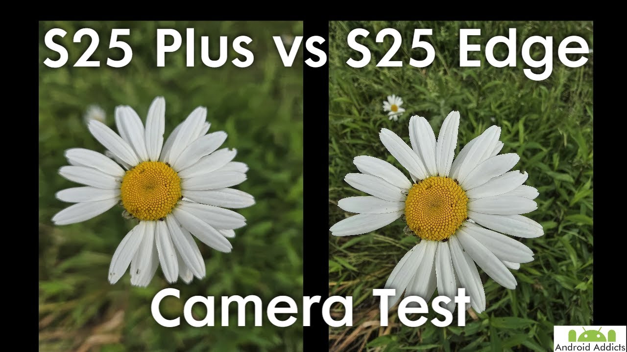 Samsung Galaxy S25 Plus vs S25 Edge Camera Test