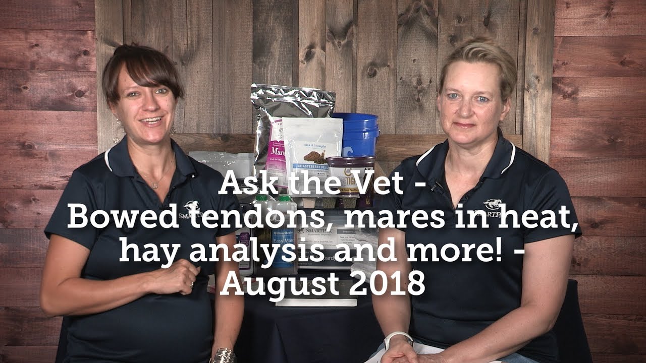 Ask the Vet - Bowed tendons, mares in heat, hay analysis and more! - August 2018