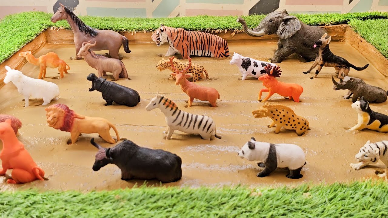 Detecting the Hidden Realms of African Savannah Animals and Wildlife Exploration!