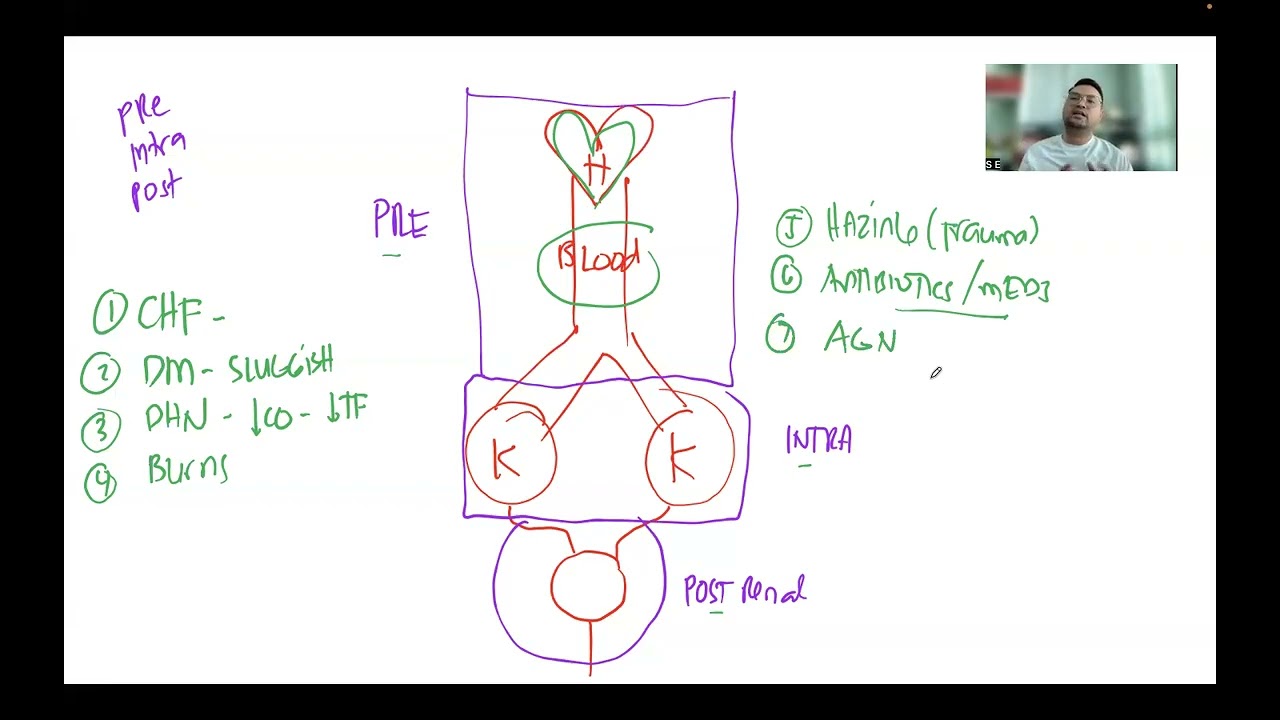 KIDNEY: Acute Kidney Failure (AKF) & Chronic Kidney Disease (CKD)
