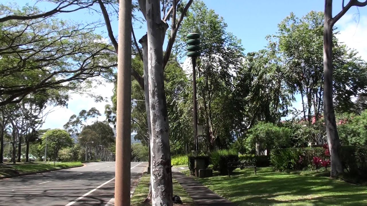 Modulator 3012 Mililani Tech Park (7 sec test) + ambience 3-2-2015