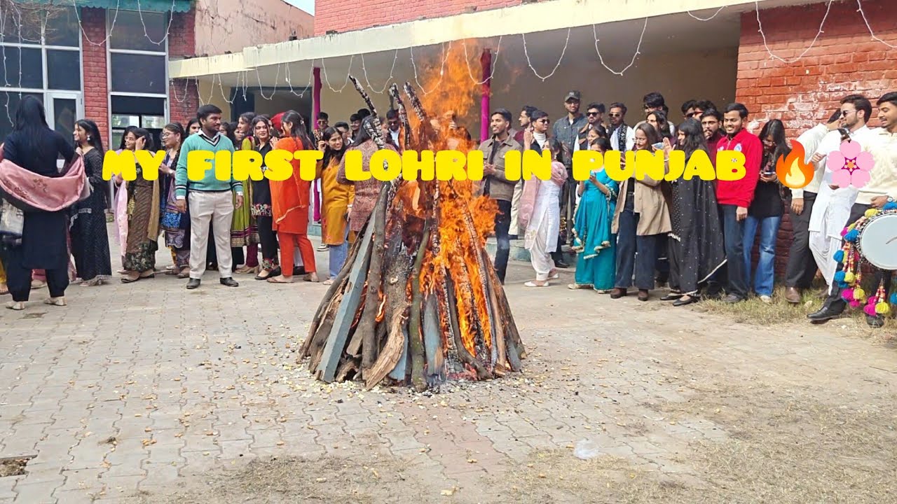 LOHRI CELEBRATION 🎊✨#medical #neet #viral #vlog #bams 