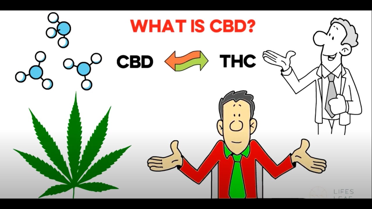 What is CBD? What is CBD oil used for?