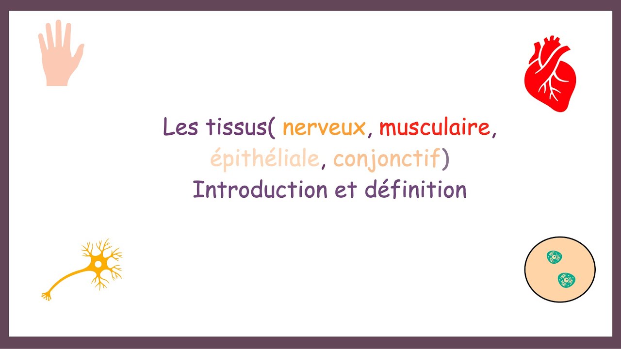 Les tissus(Nerveux, Musculaire, Epith&eacute;liale, Conjonctif)- Introduction, D&eacute;finition.