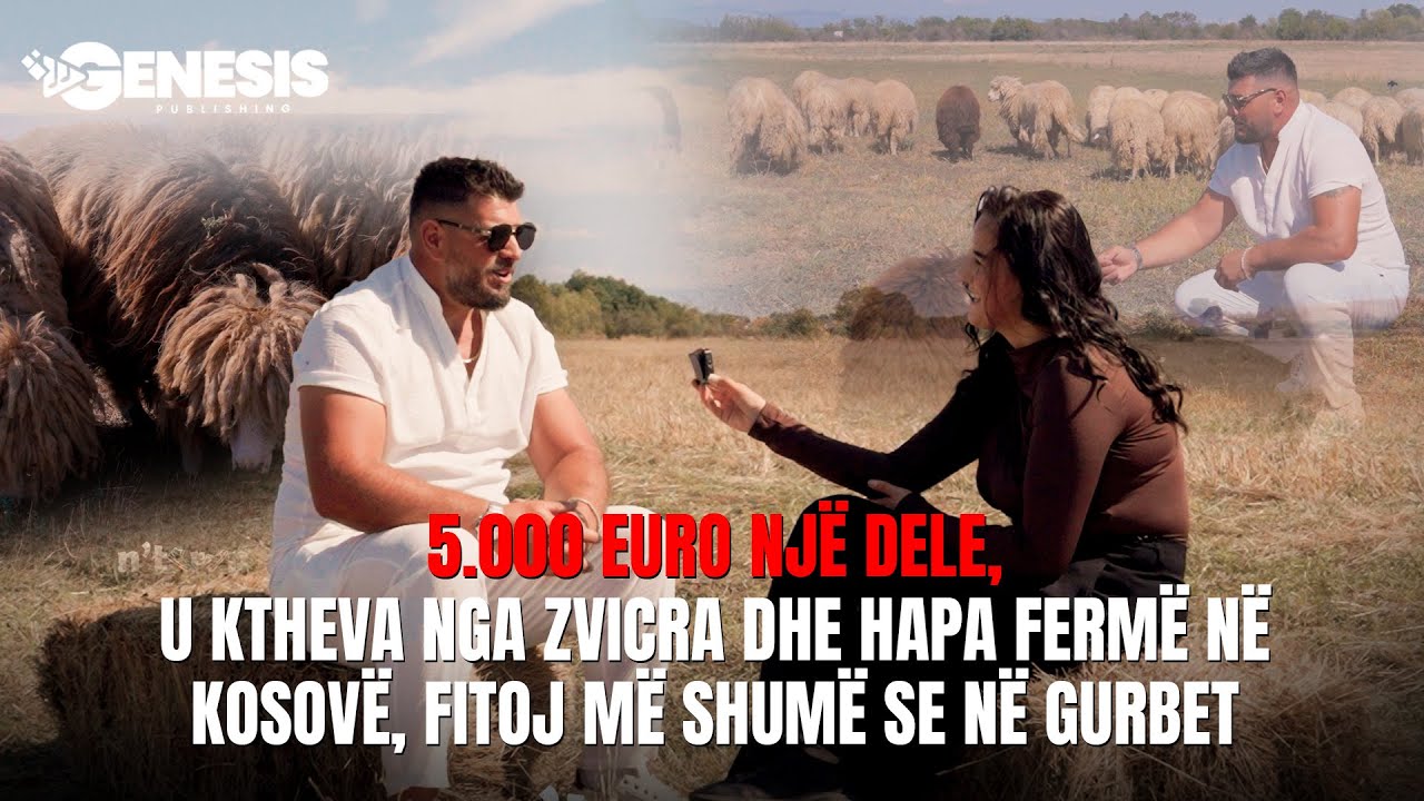 5.000 euro një dele, u ktheva nga Zvicra dhe hapa fermë në Kosovë, fitoj më shumë se në Gurbet