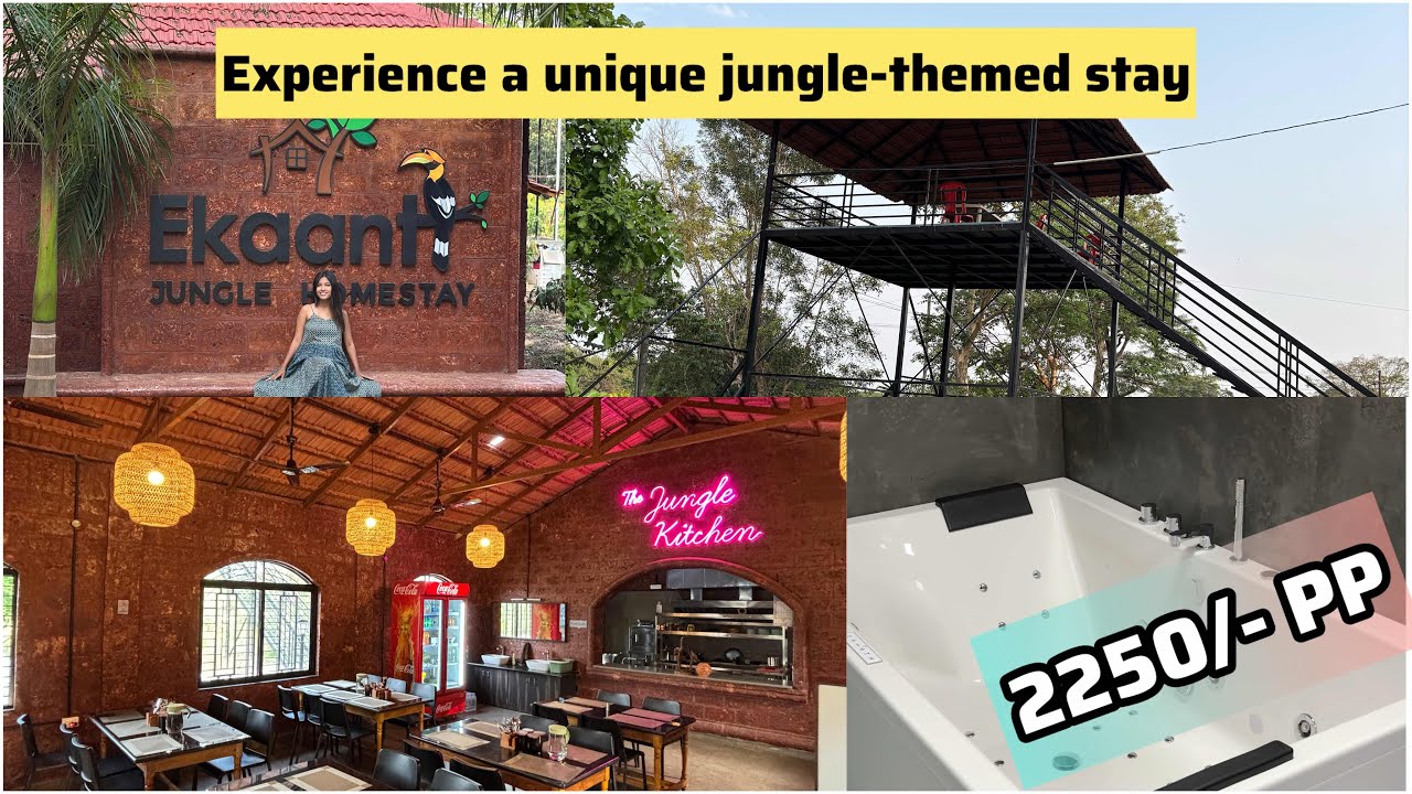Hidden Jungle Stay in Just ₹2250 including meal | 😍Ekant Jungle Homestay | Abhilasha Kambli #dandeli