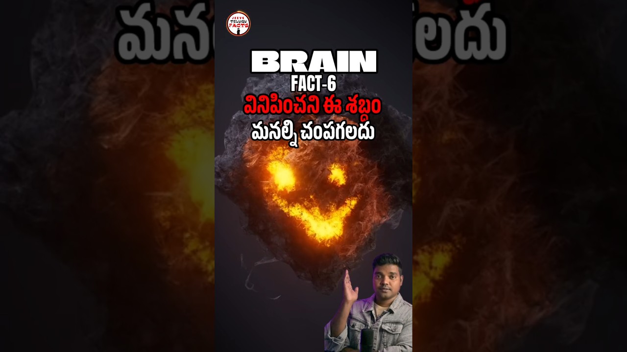 వినిపించని శబ్దం మనల్ని చంపేస్తుందా? |