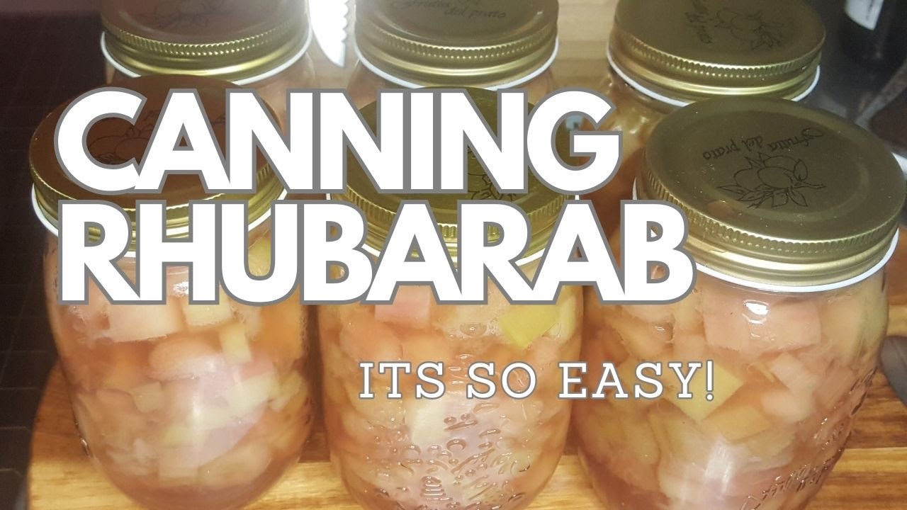 How To Can Rhubarb: It's So Easy!
