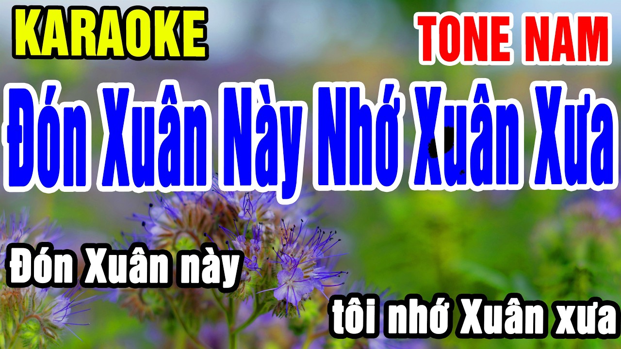 Karaoke Đón Xuân Này Nhớ Xuân Xưa Tone Nam Nhạc Sống gia huy beat