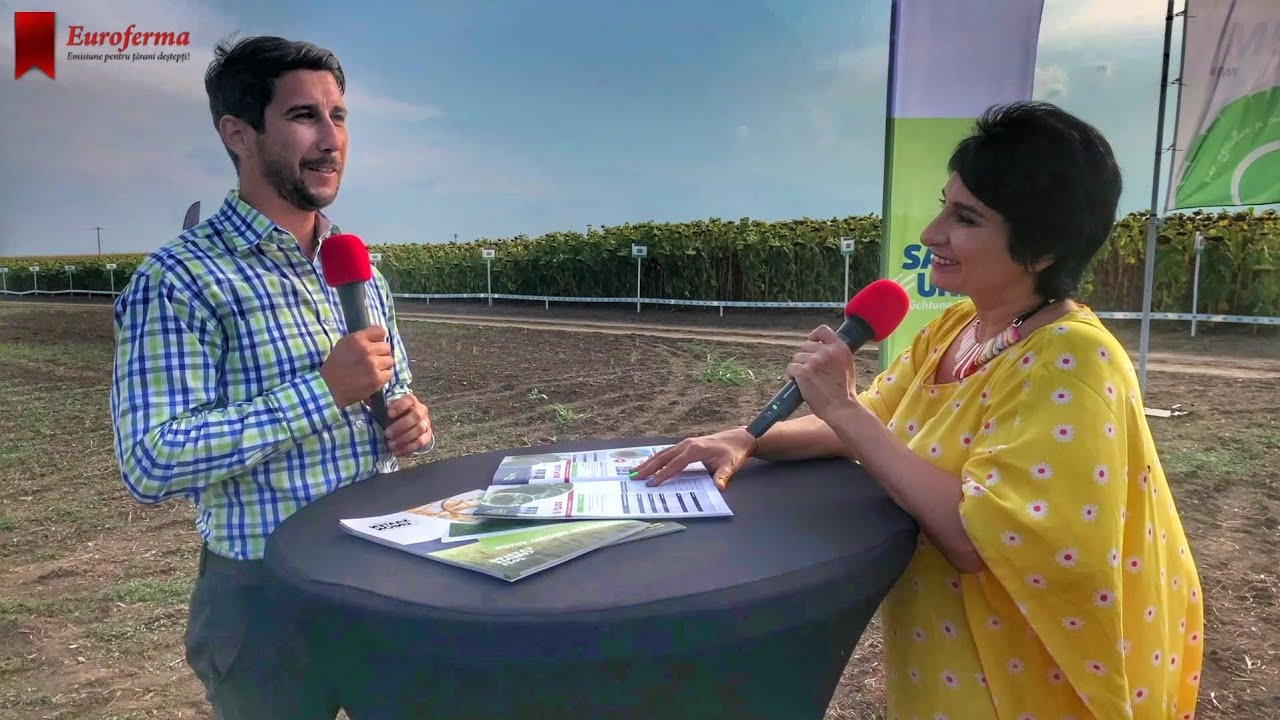 Euroferma - Floarea-soarelui, tehnologia de cultura