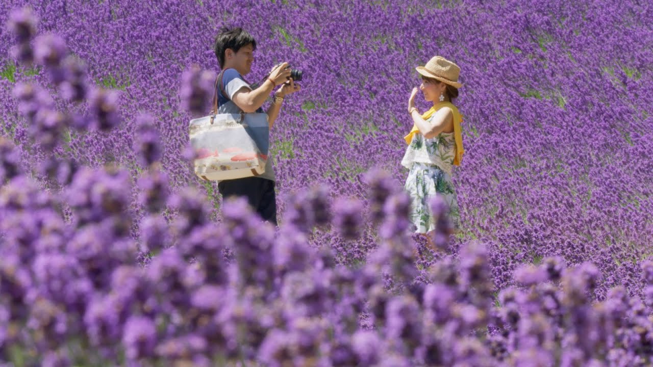 Hokkaido summer flowers - Japan: Earth's Enchanted Islands: Episode 3 Preview - BBC