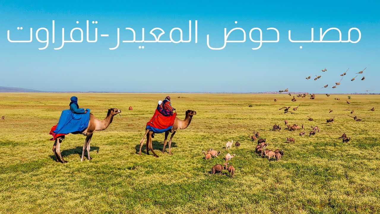 تقرير رائع عن مصب حوض المعيدر تافراوت بجماعة سيدي علي -الريصاني