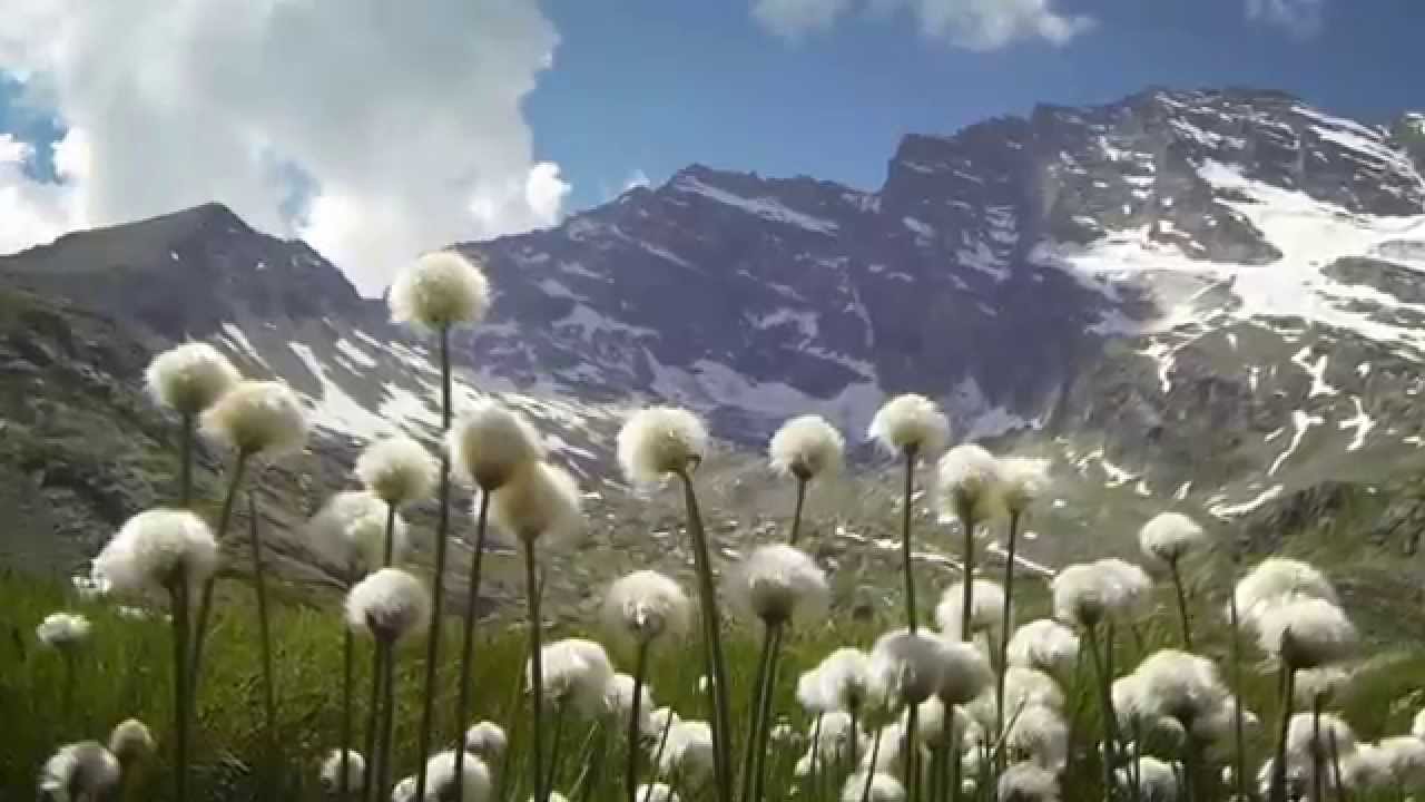 Parco Nazionale Gran Paradiso   Gran Paradiso National Park