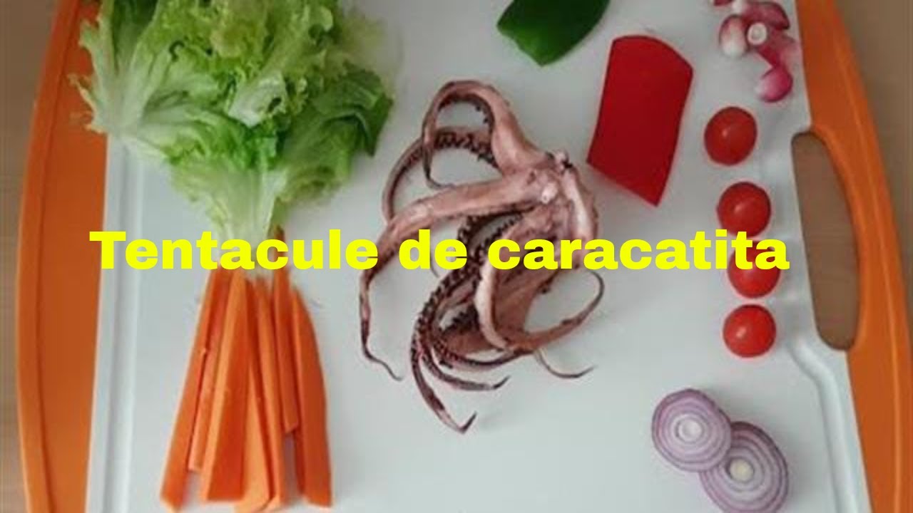 caracatita