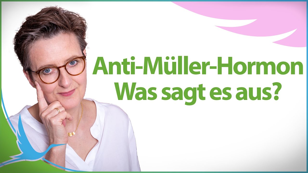 Anti Müller Hormon (AMH) und Kinderwunsch 👪 Was sagt es über die Fruchtbarkeit aus? 🤔