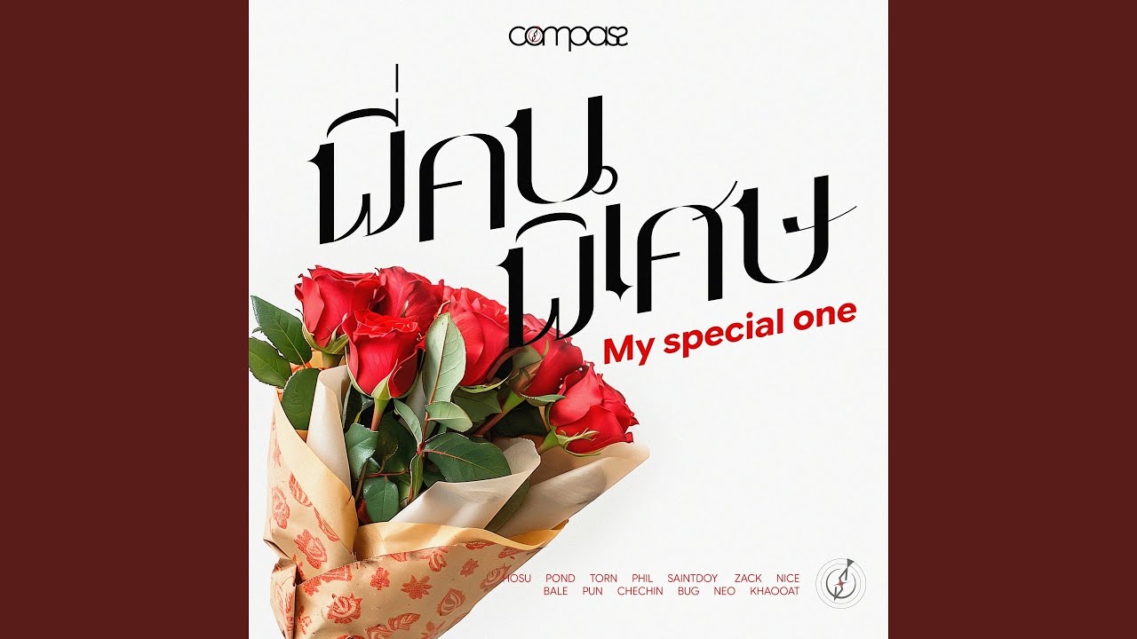 พี่คนพิเศษ (My Special One)