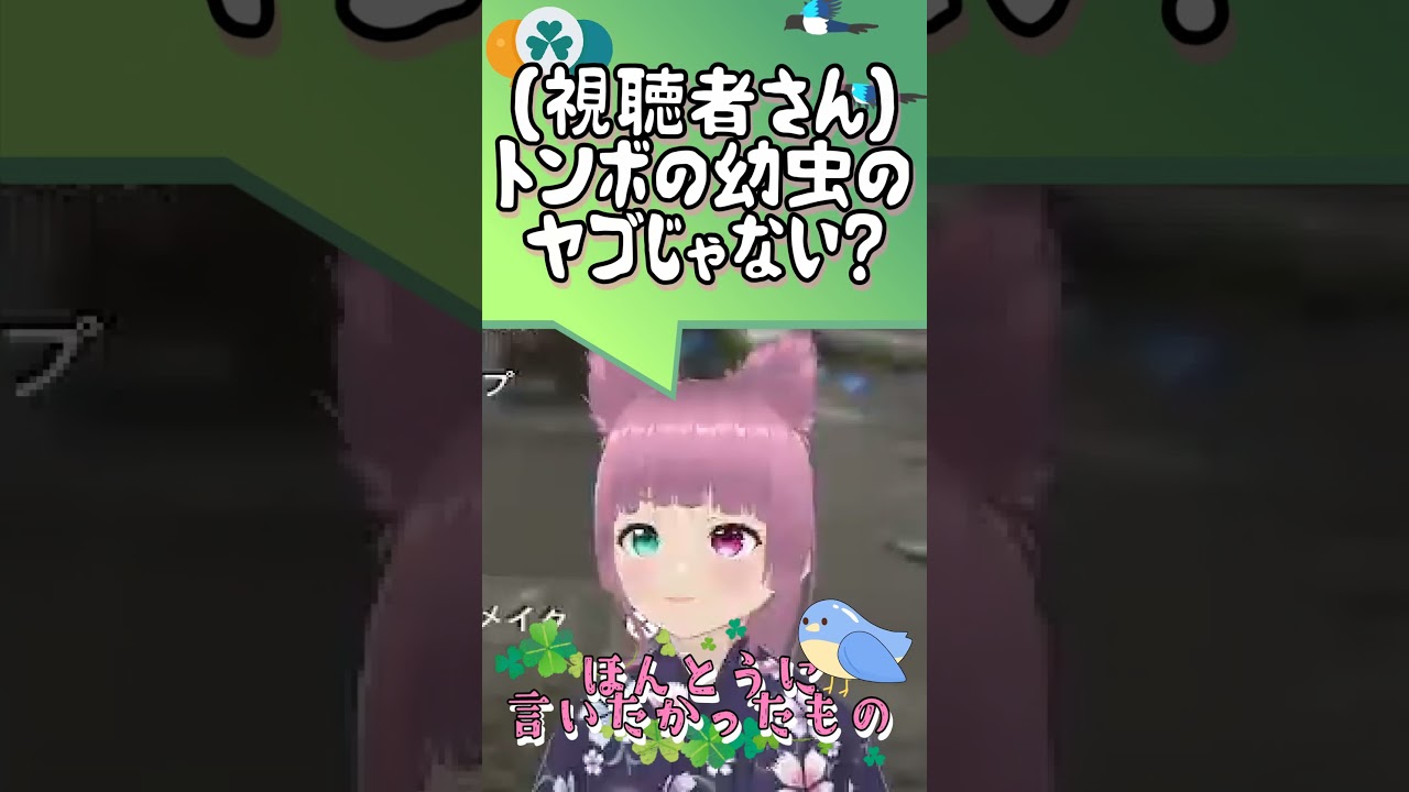 ・・・ヤゴだぁ・・・ 