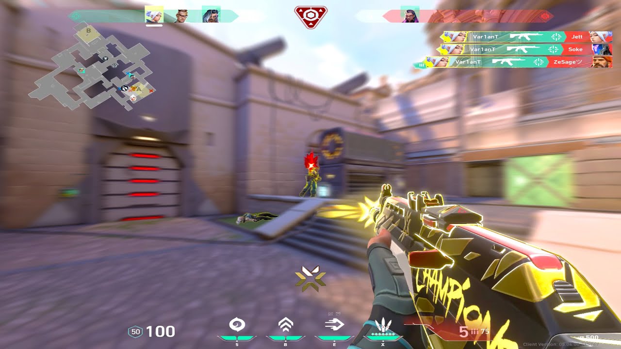 1440x1080 players in valorant be like..