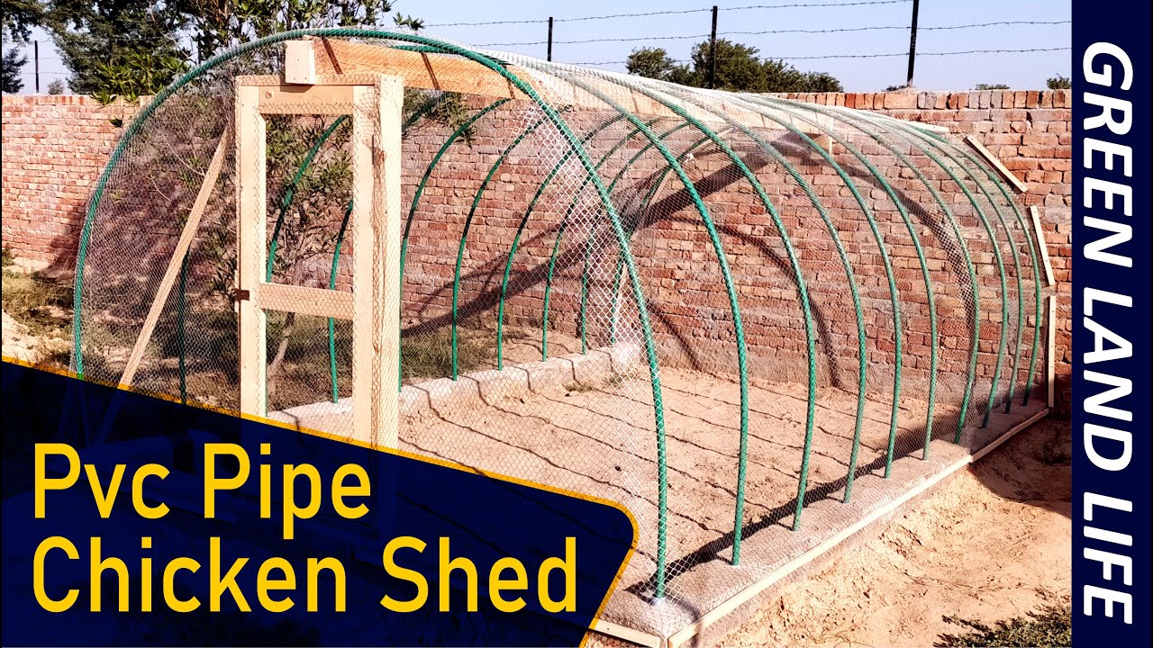 How to make Low Cost  PVC pipe chicken shed 10 x 16