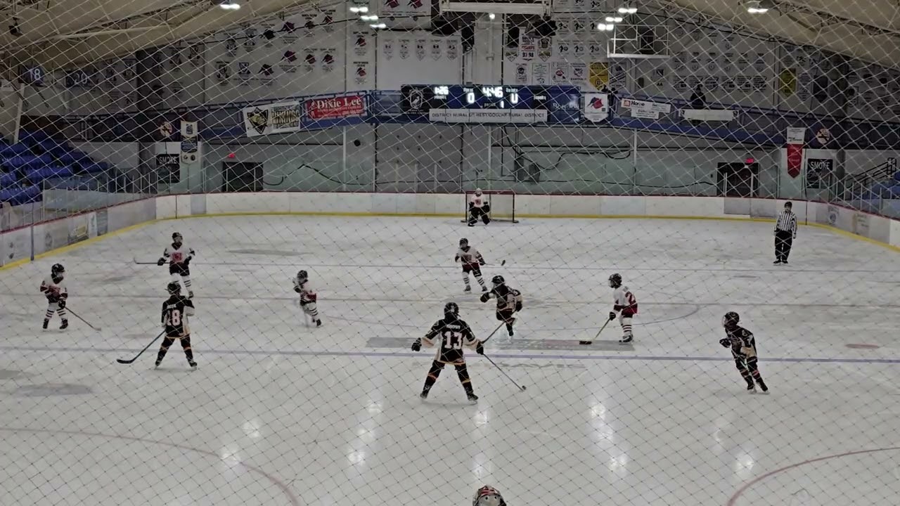 U11B Moncton Hawks vs Miramichi Wild - TOURNOIS Vicking Nord - 13 Feb 2026 