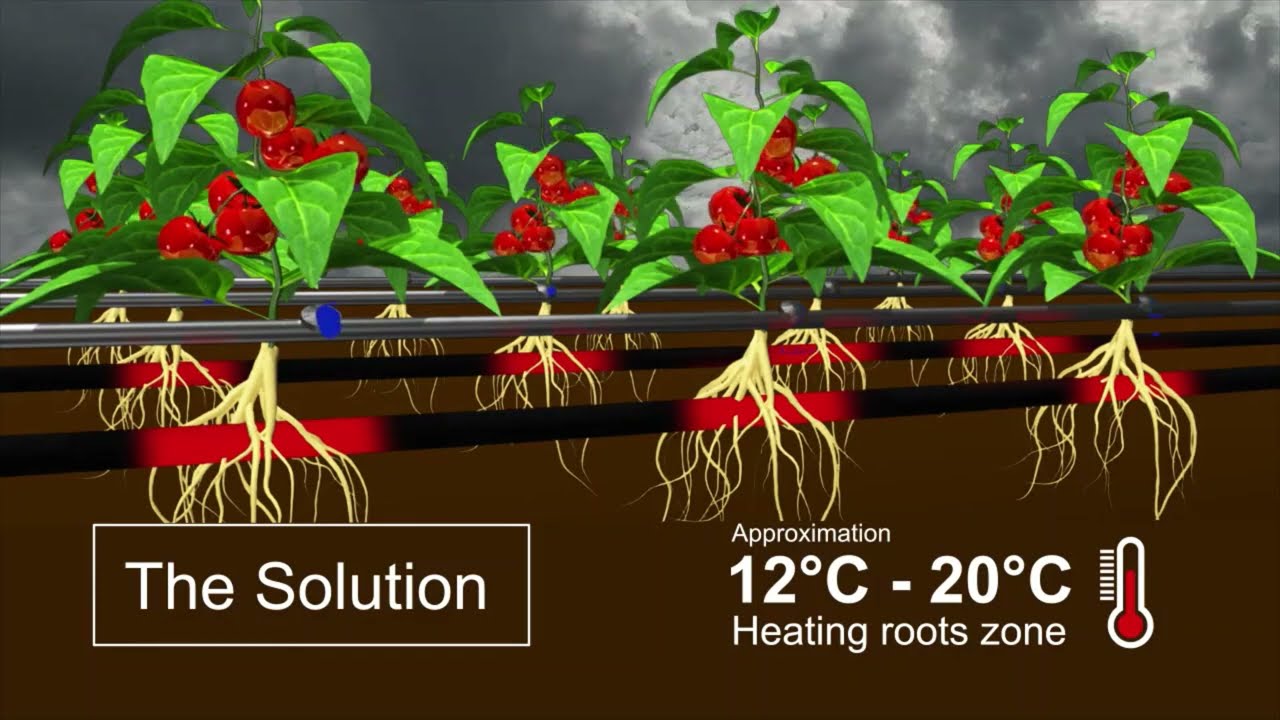 Roots&rsquo;s zone climate optimization