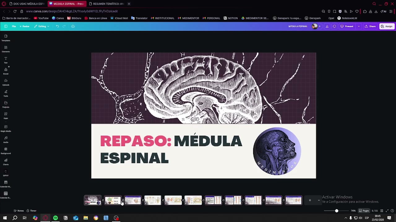 REPASO - ANATOMÍA MEDULA ESPINAL