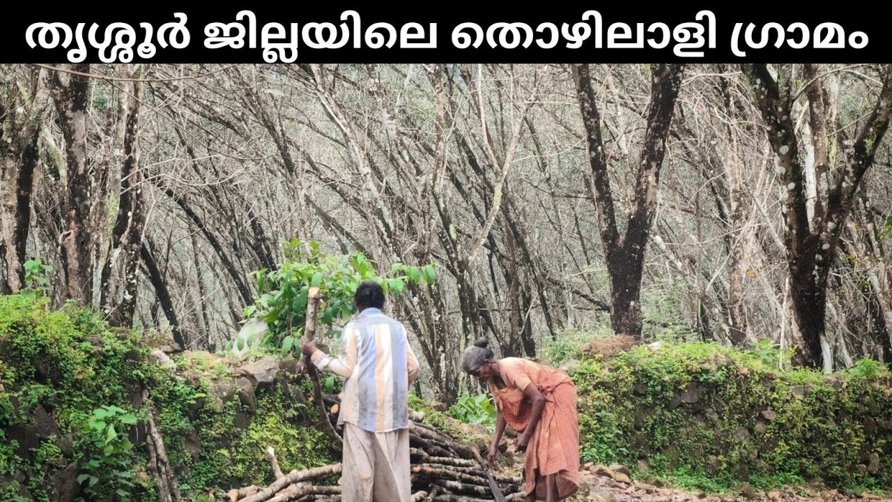 തൃശ്ശൂർ ജില്ലയിലെ ഈ ഗ്രാമം നിങ്ങൾ കണ്ടിട്ടുണ്ടോ? | Palappilly Village, Thrissur | Chimmony Dam