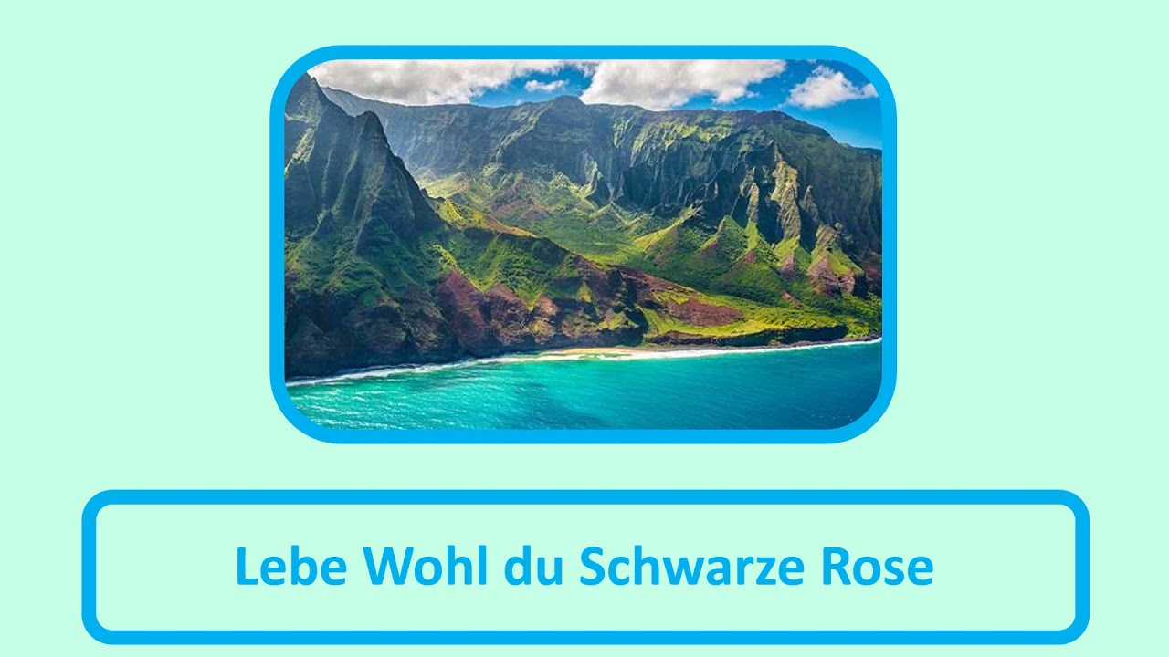 Lebe Wohl du Schwarze Rose
